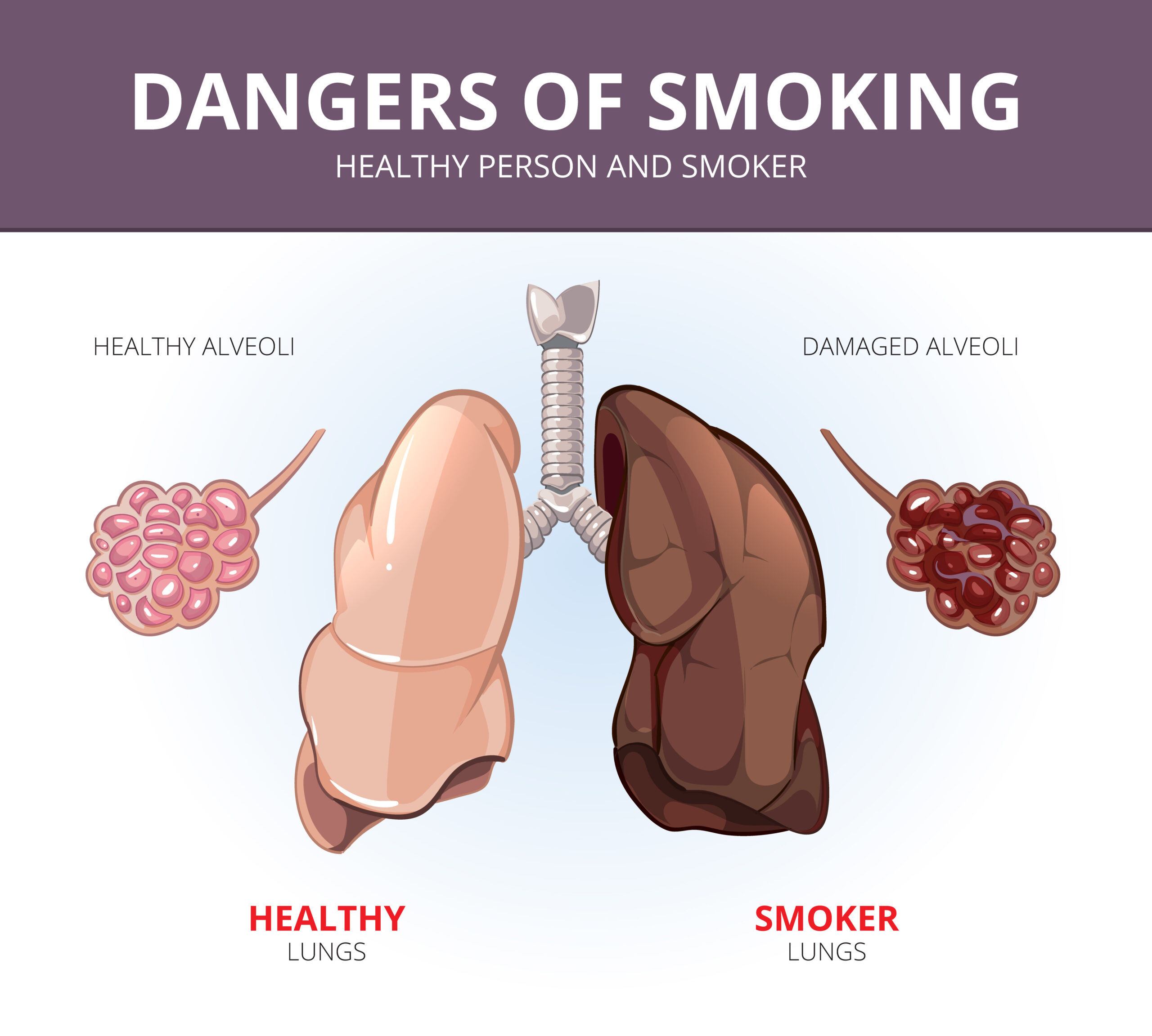 Smoker Lungs vs Healthy Lungs