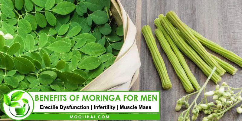 Moringa for Men