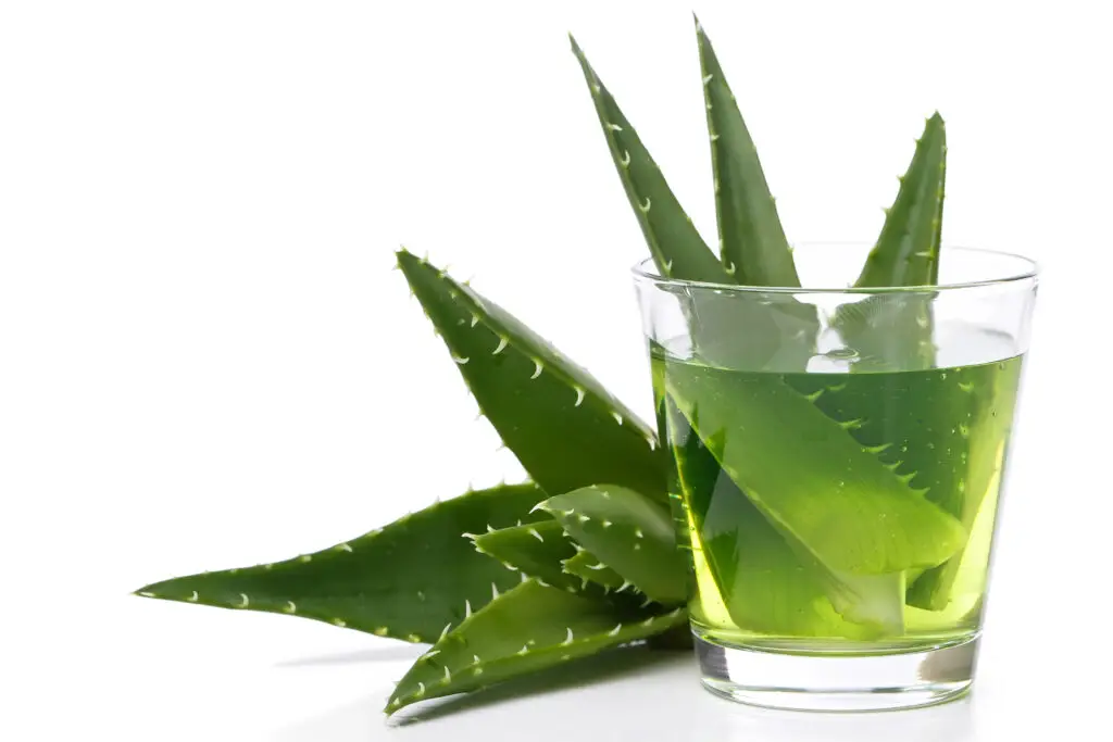 Benefits of Aloe Vera Juice