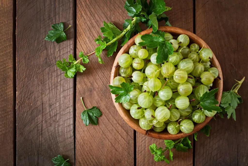 Benefits of Amla Juice: Exploring the Remarkable 4 Benefits of Health