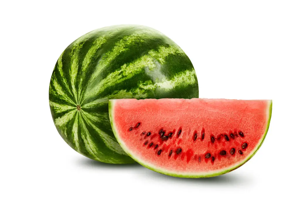 Eating Watermelon