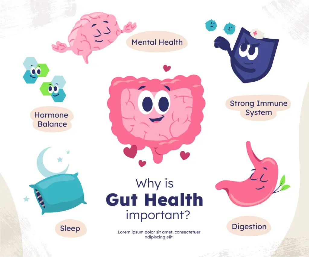 Gut Health