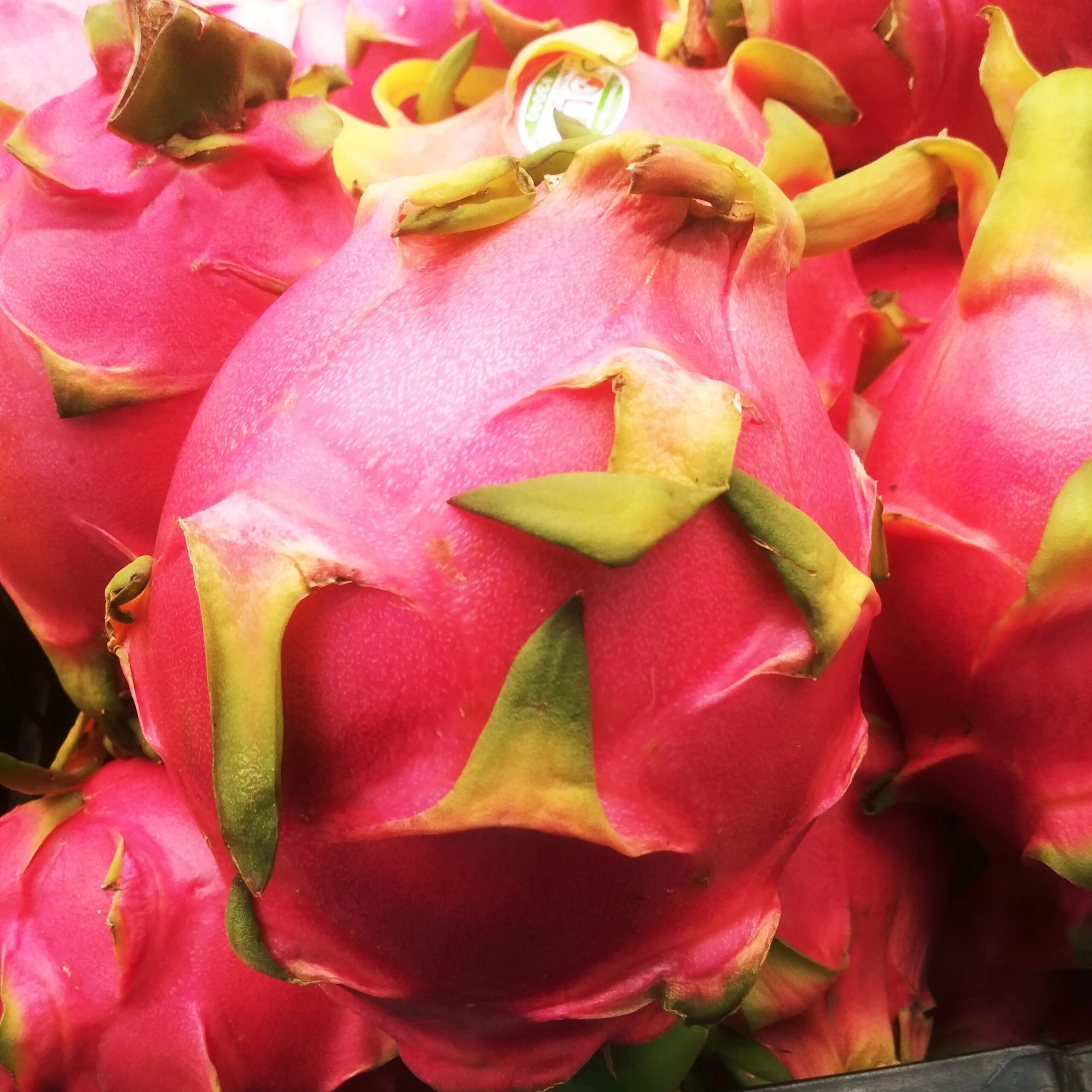 Dragon Fruit