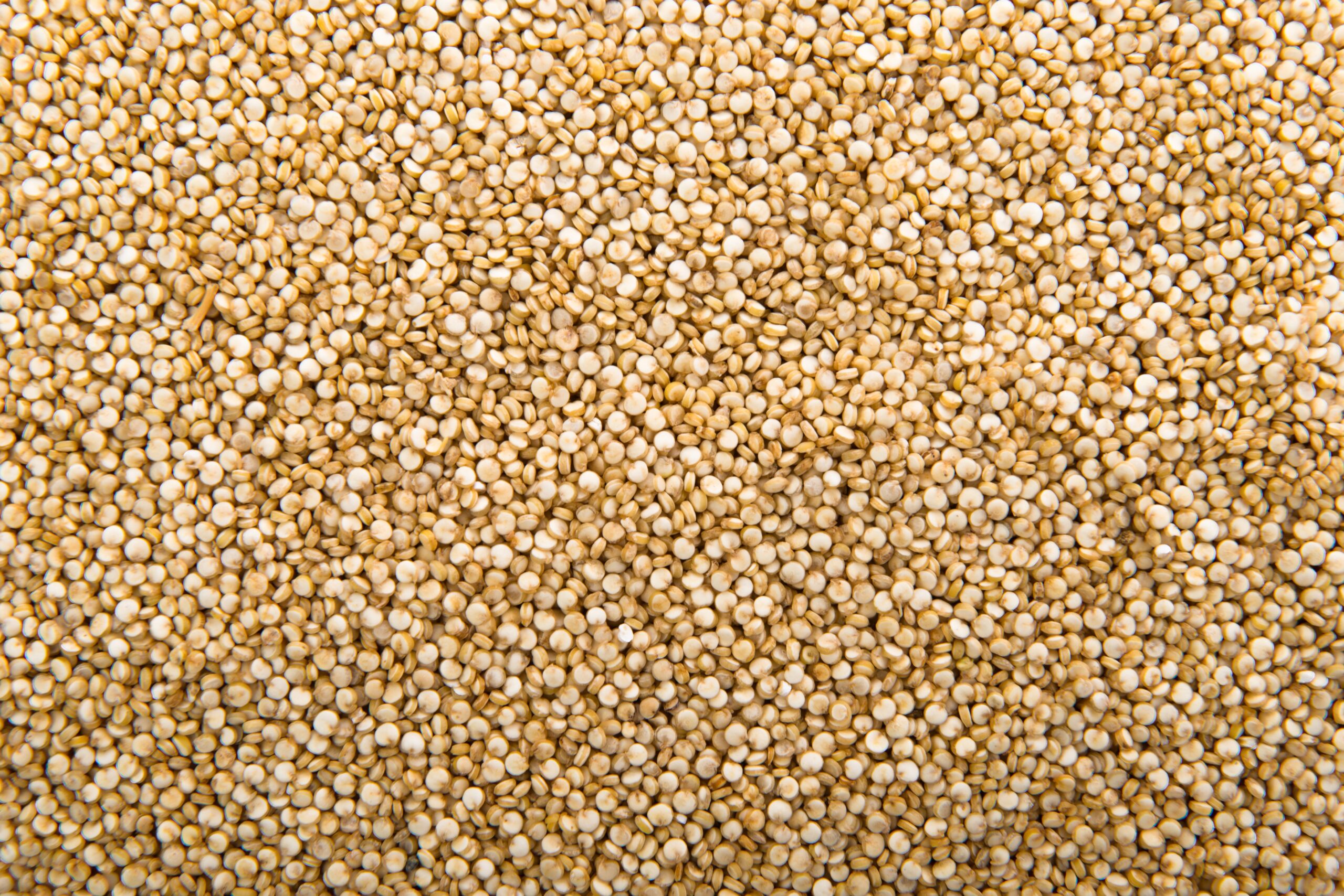 Quinoa for Weight Loss: 1 of Nutrient-Packed and Ultimate Superfood