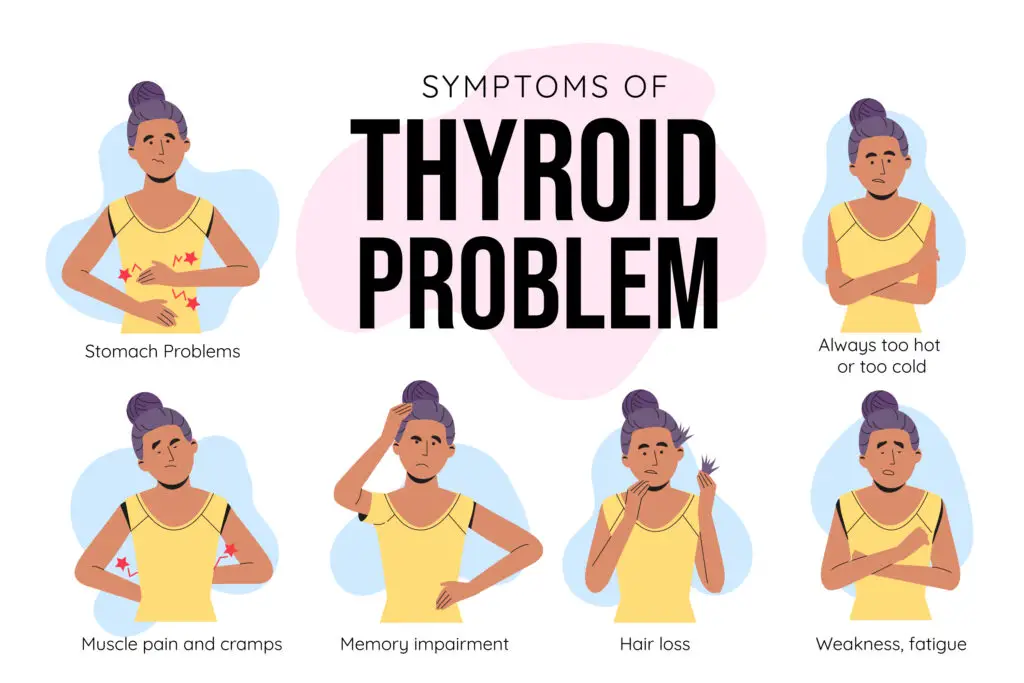 Thyroid