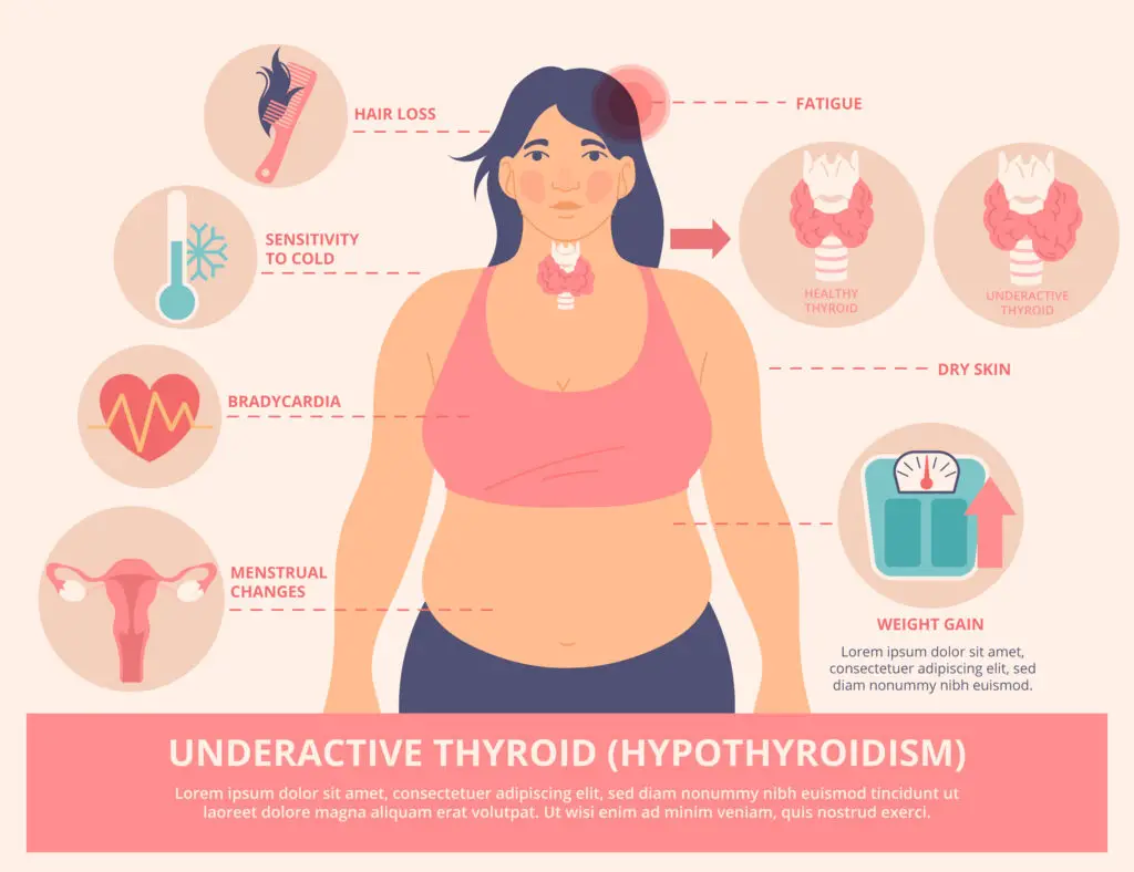 Thyroid