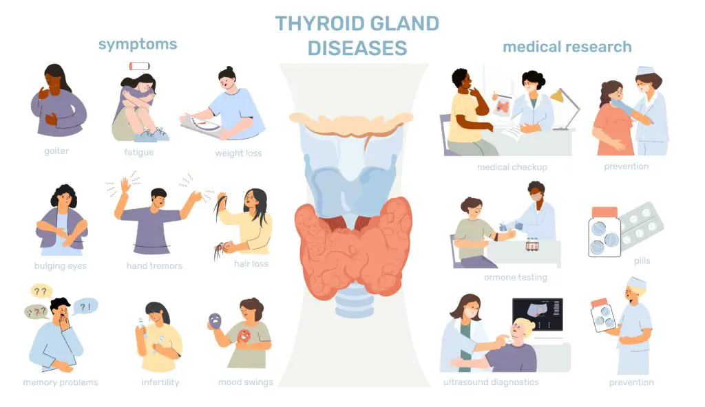 Thyroid